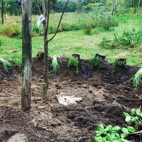 Eetbare planten speurtocht