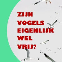 Een filosofisch Gesprek 09-10-2026 18:30