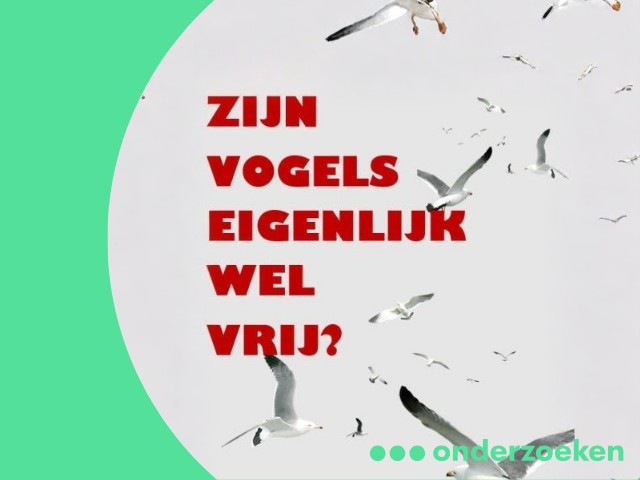 Een filosofisch Gesprek 09-10-2026 18:30