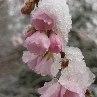 Dag & Dauw: Haiku schrijven