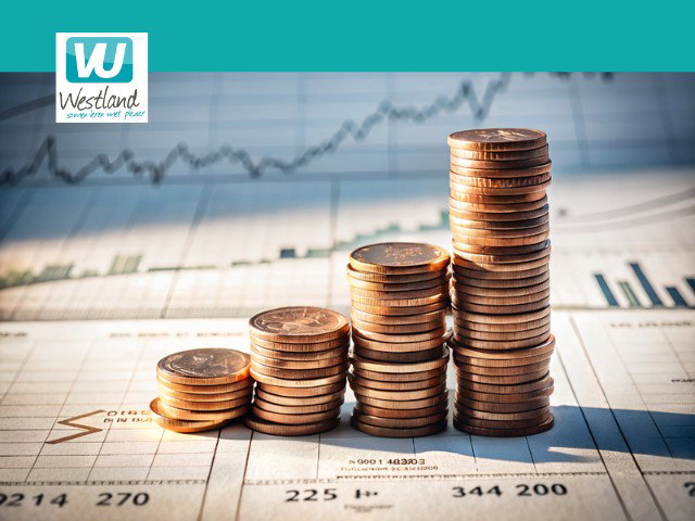 Hoe werkt onze economie?