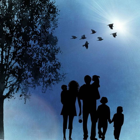 Kennismaken met familieopstellingen