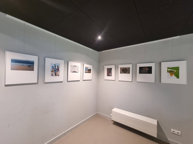 Expositie Fotoclub Drunen: Bondsfotowedstrijd