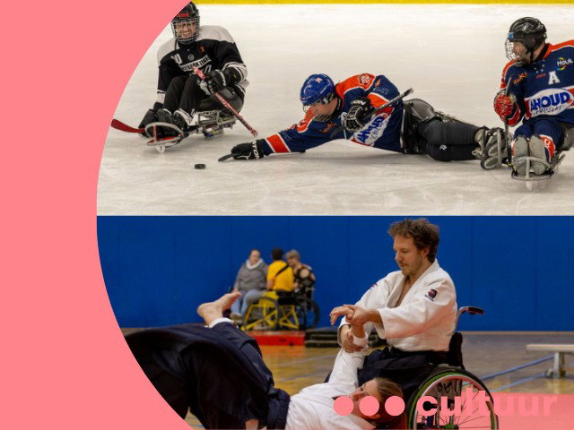 Sporten met een Beperking in de Picture