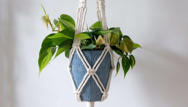 Dag & Dauw: Macramé plantenhanger maken
