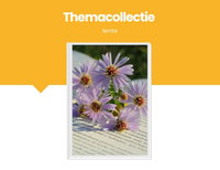 Themacollectie lente (peuters)