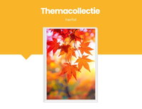 Themacollectie herfst (peuters)