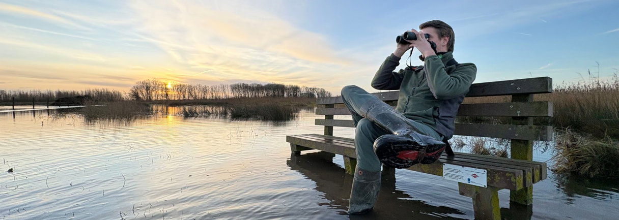 Hoe de natuur de Noordwaard herovert