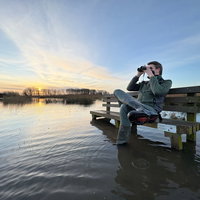 Hoe de natuur de Noordwaard herovert