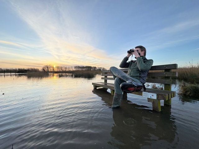 Hoe de natuur de Noordwaard herovert