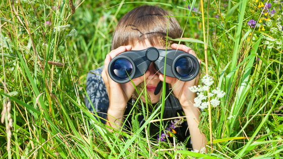 Find it!
