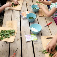 Workshop wildplukken voor kinderen