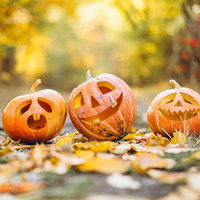 Halloween decoratie uit de natuur (6-10 jr)