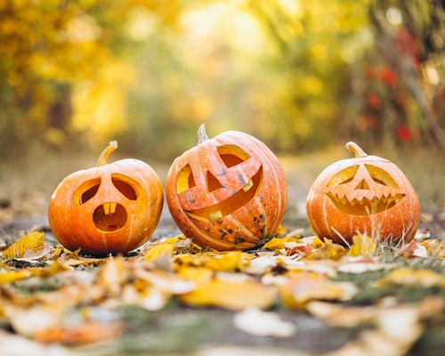 Halloween decoratie uit de natuur (6-10 jr)