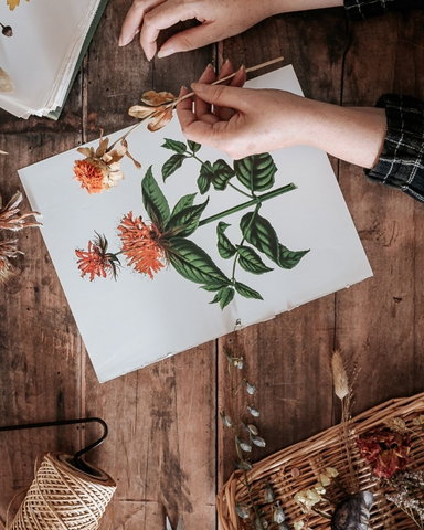 Expositie: Herfst & Winter