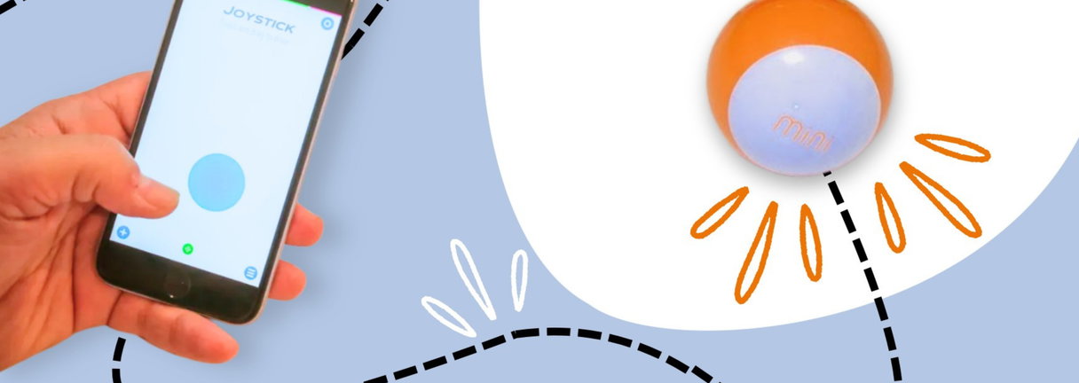 Sphero Mini: Race rond met een robotbal | Code Club workshop