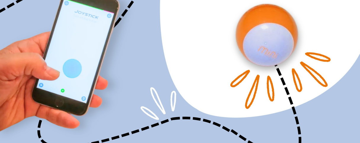 Sphero Mini: Race rond met een robotbal | Code Club Workshop