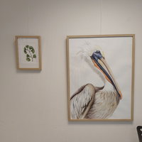 Expositie: Agnes Stam