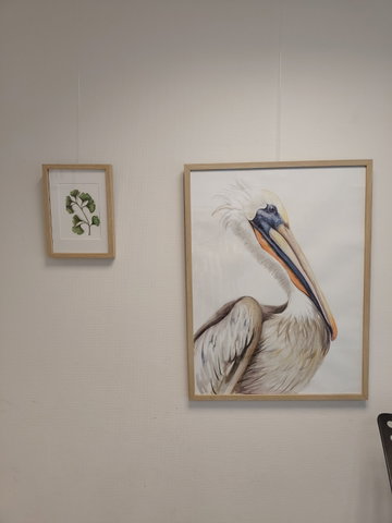 Expositie: Agnes Stam