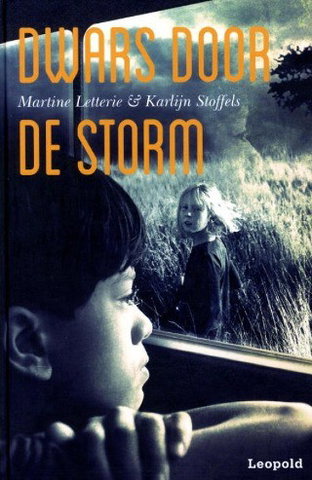 Dwars door de storm
