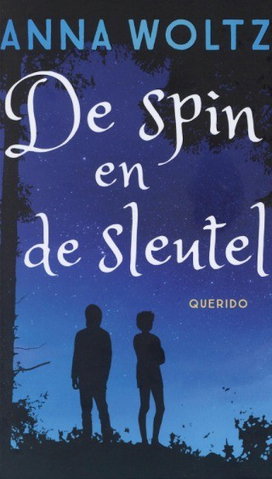 De spin en de sleutel