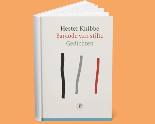 Spraakmakende Boeken: Hester Knibbe: Barcode van stilte
