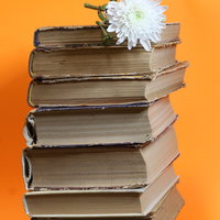 Workshop 'Papieren bloemen maken'