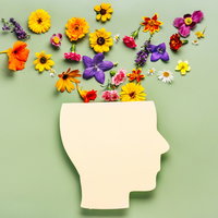 Lezing Positieve Gezondheid | Door Loek Vaessen