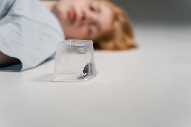 BiebLab - Insecten stofzuiger maken