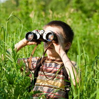 Workshop: Samen op Vogelavontuur (4-10 jaar)