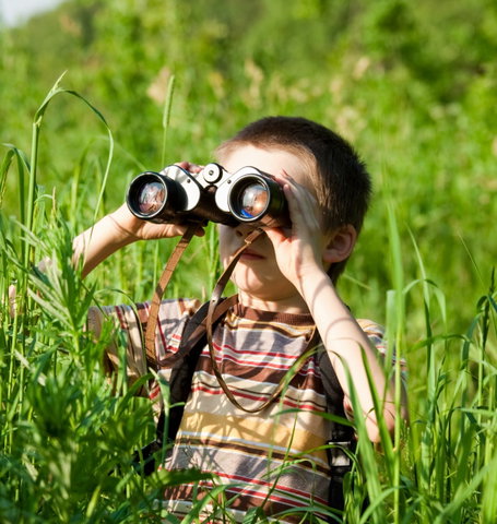 Workshop: Samen op Vogelavontuur (4-10 jaar)