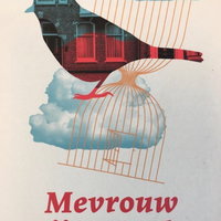 Zomerprogramma: Meeleesclub