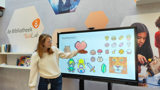 Digiwijs: Pixel Art