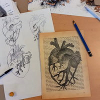 Workshop: Anatomisch tekenen (15 t/m 18 jaar)