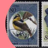 Expositie: Filatelistische presentatie Vogels in en om Wageningen