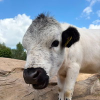 Humans of Kampen Live - Kinderboerderij Cantecleer