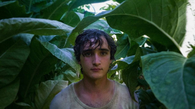 Filmvertoning: Happy as Lazzaro