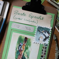Workshop:  Nature Journaling met Laura  Carter