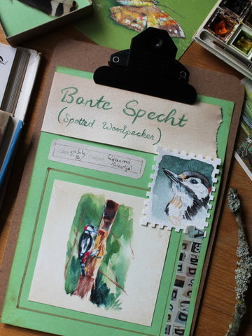 Workshop:  Nature Journaling met Laura  Carter