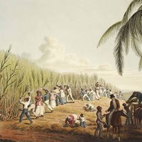 Senioren Collges: De creatie van Suriname van koloniaal naar postkoloniaal 14-09-2026 13:30