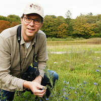 Wild spotten in Nederland