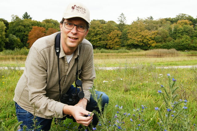 Wild spotten in Nederland