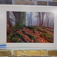 Fototentoonstelling Fotokring De Zoeker