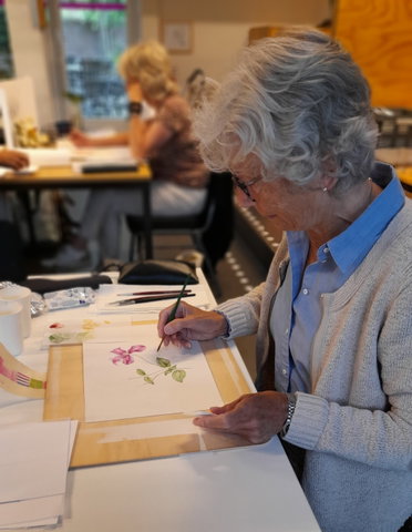Cursus Botanisch tekenen en aquarelleren