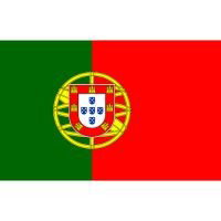 Volksuniversiteit IJmond: Portugees voor beginners A1