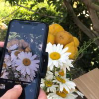 Volksuniversiteit IJmond: Fotografie met je mobiel