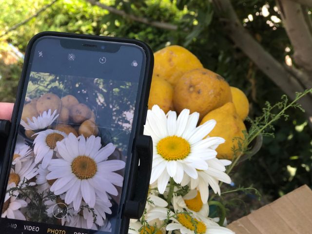 Volksuniversiteit IJmond: Fotografie met je mobiel