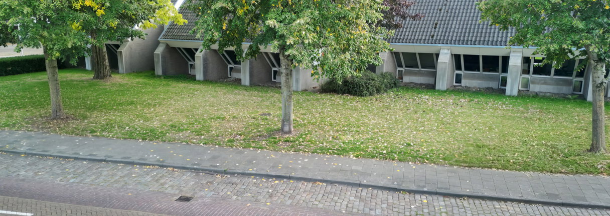 Lezing: Lintbebouwing in de Langstraat