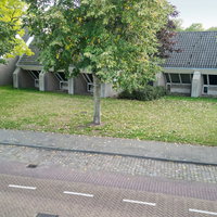 Lezing: Lintbebouwing in de Langstraat