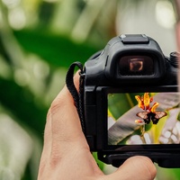 Expositie fotografiewedstrijd IVN Haaksbergen